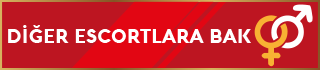 uyarı uyarı2